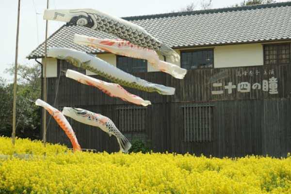 小豆島の「二十四の瞳映画村」という施設内に広がる菜の花畑と鯉のぼり