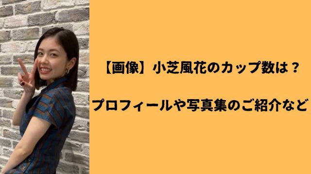 【画像】小芝風花のカップ数は？プロフィールや写真集のご紹介など