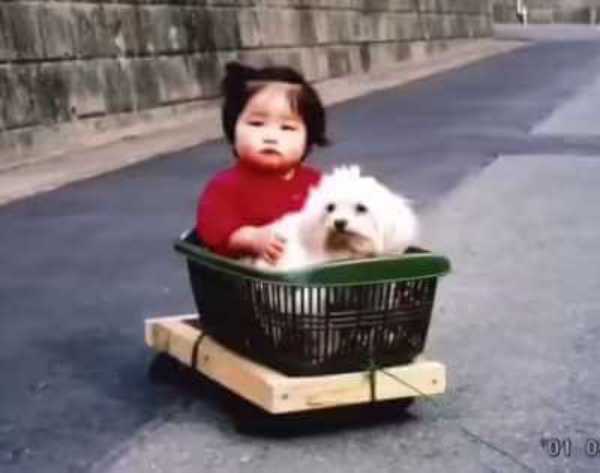 幼い頃に犬と一緒に買い物かごに入る与田祐希